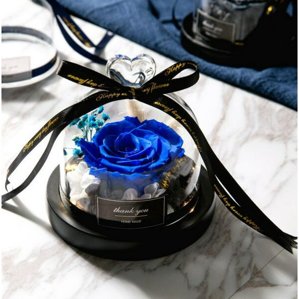 ThreeH Beautiful Flowers Eternal Rose Preserved Real Rose in Glass Dome Creative Gift for Valentine's Mother's Day Christmas Anniversary Birthday Thanksgiving Girls ThreeH Beautiful Flowers Eternal Rose Preserved Real Rose in Glass Dome Creative Gift for Valentine's Mother's Day Christmas Anniversary Birthday Thanksgiving Girls